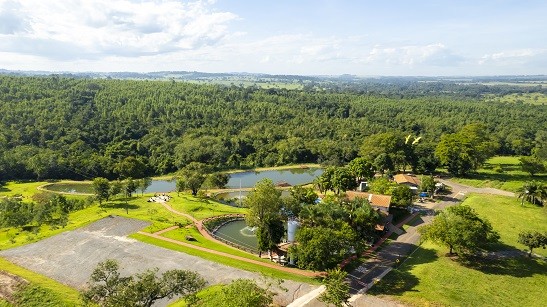Veja mais detalhes