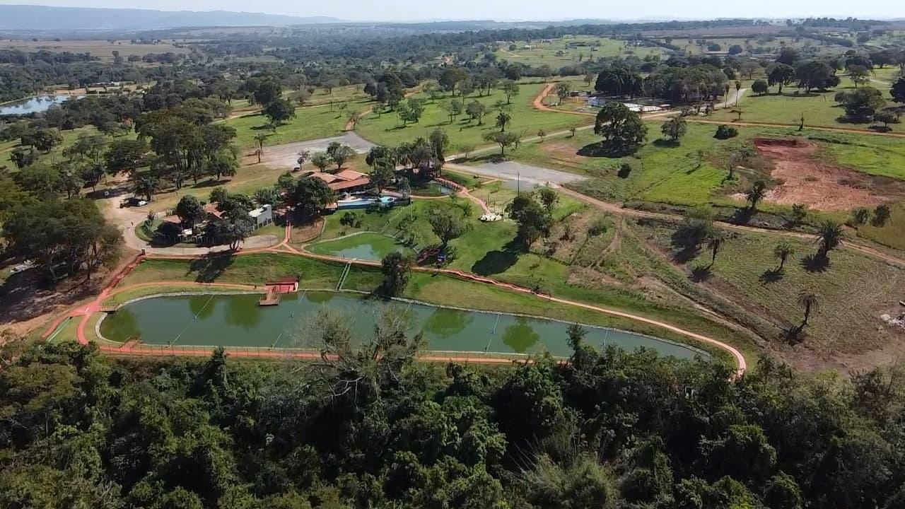 Veja mais detalhes