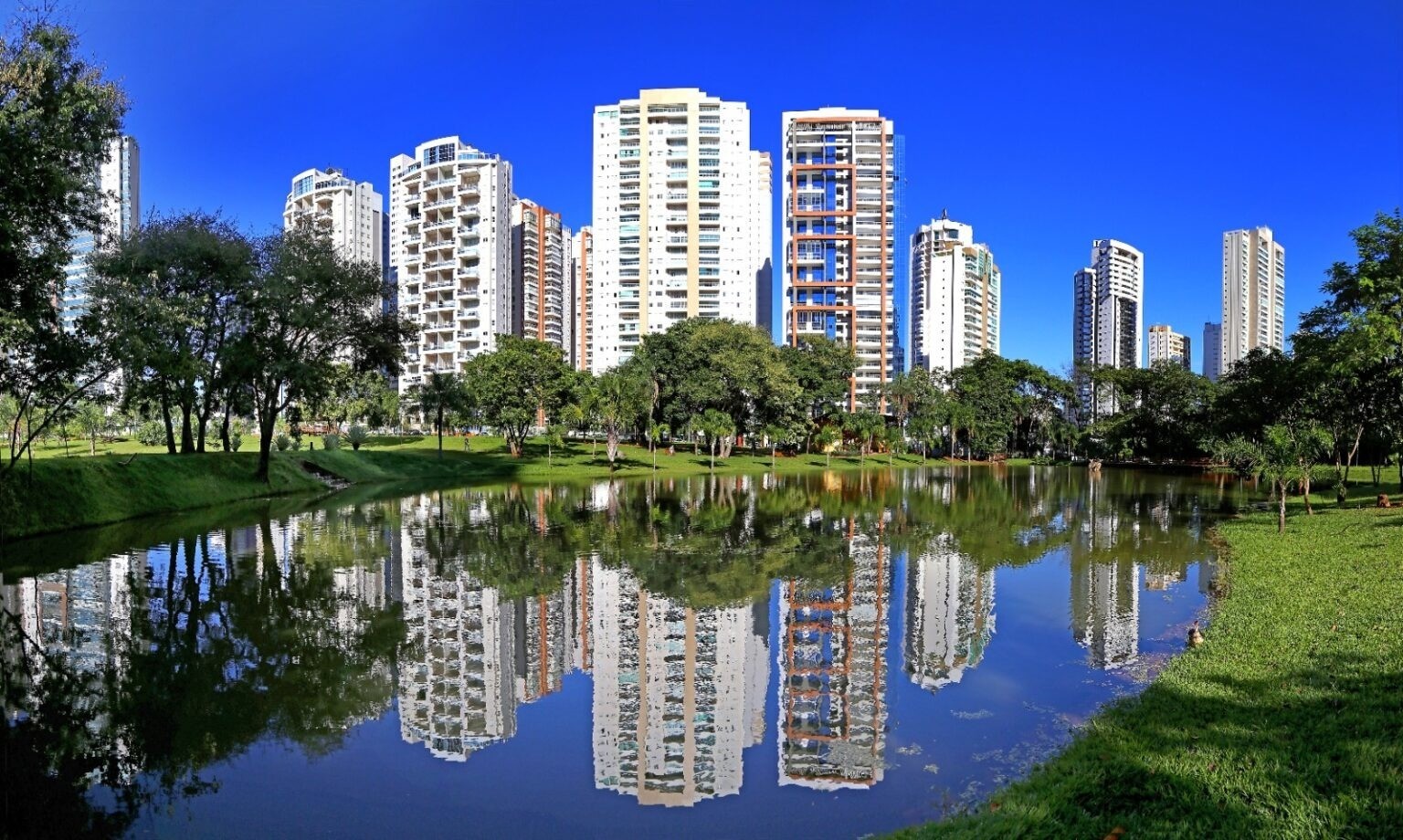 Veja mais detalhes